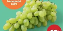 PENNY Trauben Angebot