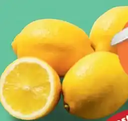 PENNY Echt Bio Zitronen Angebot
