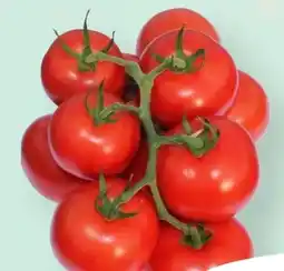 MPreis Cherry Rispentomaten Angebot