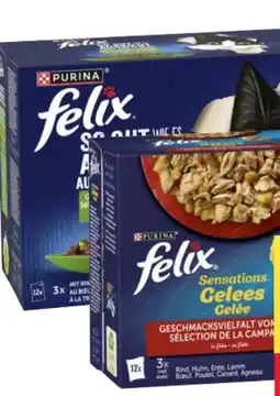 MPreis Purina Felix Katzenfutter Angebot
