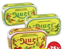 PENNY Nuri Sardinen Angebot