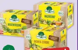 PENNY Willi Dungl Bio-Tee-Sortiment Angebot