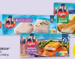 PENNY Iglo Polardorsch Angebot