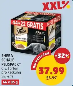 PENNY Sheba schale pluspack Angebot