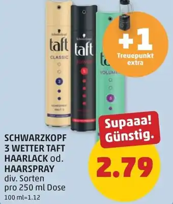 PENNY Schwarzkopf 3 wetter taft haarlack od. haarspray Angebot
