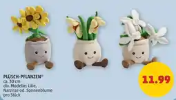 PENNY Plüsch-pflanzen Angebot