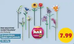 PENNY Max bausteine schnittblumen Angebot