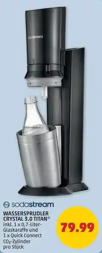 PENNY Wassersprudler crystal 3.0 titan Angebot