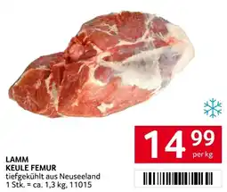 Transgourmet Lamm keule femur Angebot
