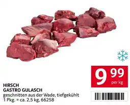 Transgourmet Hirsch gastro gulasch Angebot