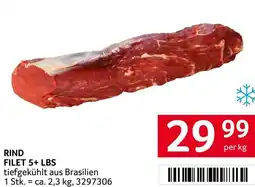 Transgourmet Rind filet 5+ lbs Angebot