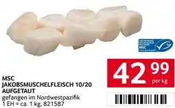 Transgourmet Msc jakobsmuschelfleisch 10/20 Angebot