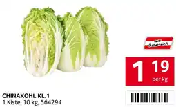 Transgourmet Chinakohl kl.1 Angebot