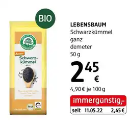 dm Lebensbaum Angebot