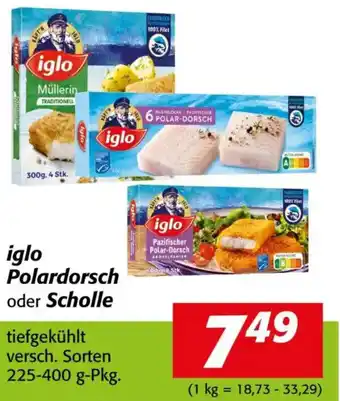 Iglo Polardorsch oder Scholle