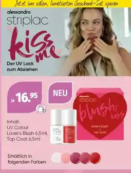 Müller Lover's Blush Angebot