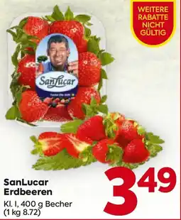 Billa Sanlucar erdbeeren Angebot