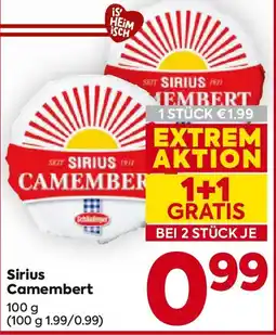 Billa Sirius Camembert Angebot