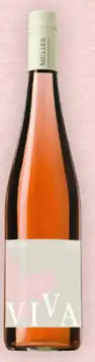 Billa Weingut Müller Viva Rosé Angebot