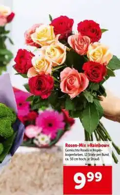 Interspar Rosen-Mix Rainbow Angebot