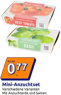 Action Mini-Anzuchtset Angebot