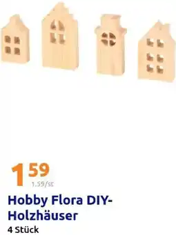 Action Hobby flora diy- holzhäuser Angebot
