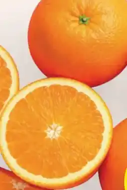 Hofer Hofer Marktplatz Orangen Angebot