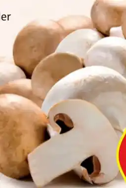 Hofer Hofer Marktplatz Champignons Angebot
