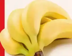 Hofer Hofer Marktplatz Bio-Bananen Angebot