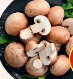 Hofer Hofer Marktplatz Bio-Champignon Angebot