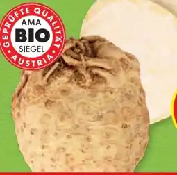 Hofer Zurück zum Ursprung Bio-Sellerie Angebot