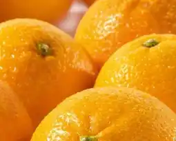 Spar Orangen Angebot