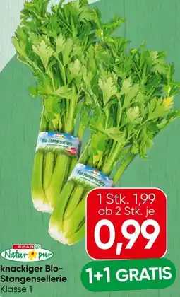 Spar Spar Natur pur Bio-Stangensellerie Angebot