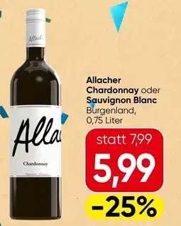 Spar Allacher chardonnay oder sauvignon blanc Angebot
