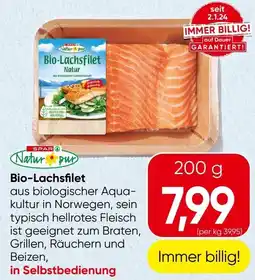 Spar Bio lachsfilet Angebot
