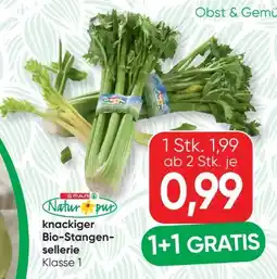 SPAR Gourmet Spar Natur pur Bio-Stangensellerie Angebot