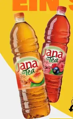 Sizin Foods GmbH Jana EisTee Angebot