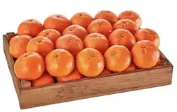 Sizin Foods GmbH Mandarinen Angebot