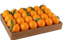 Sizin Foods GmbH Orangen Angebot