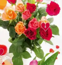 Spar Rainbow Rosen Angebot