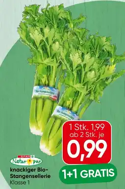 Spar Knackiger bio stangensellerie Angebot
