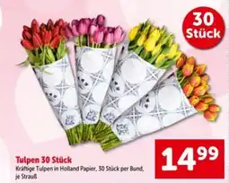 Interspar Tulpen Angebot