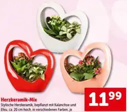 Interspar Herzkeramik mix Angebot