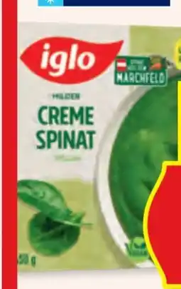 Hofer Iglo Cremespinat Angebot