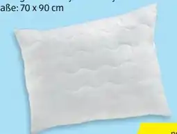 Hofer Novitesse Eco-Kissen Angebot