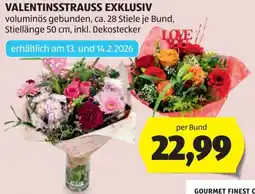 Hofer Valentinsstrauß Exklusiv Angebot