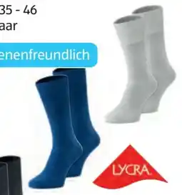 Hofer Up 2 Fashion Damen-Socken Angebot