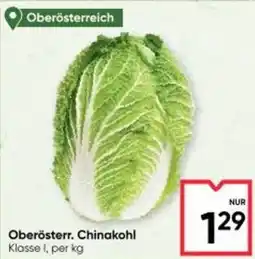 Maximarkt Oberösterr. chinakohl Angebot