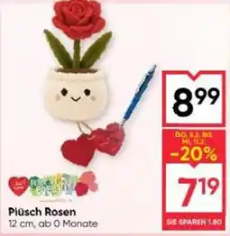 Maximarkt Plüsch rosen Angebot