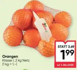 Maximarkt Orangen Angebot